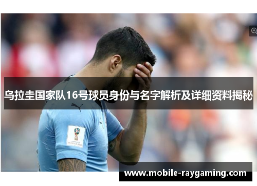 乌拉圭国家队16号球员身份与名字解析及详细资料揭秘